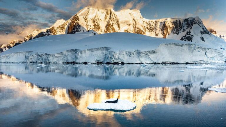 Antartica