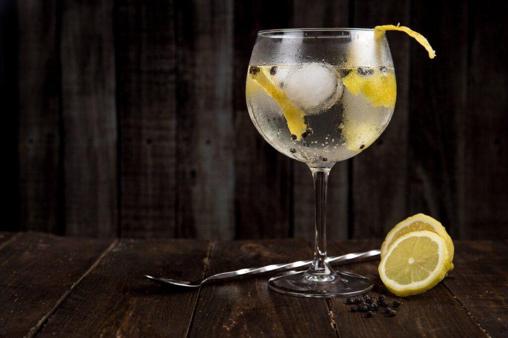 gin-tonic